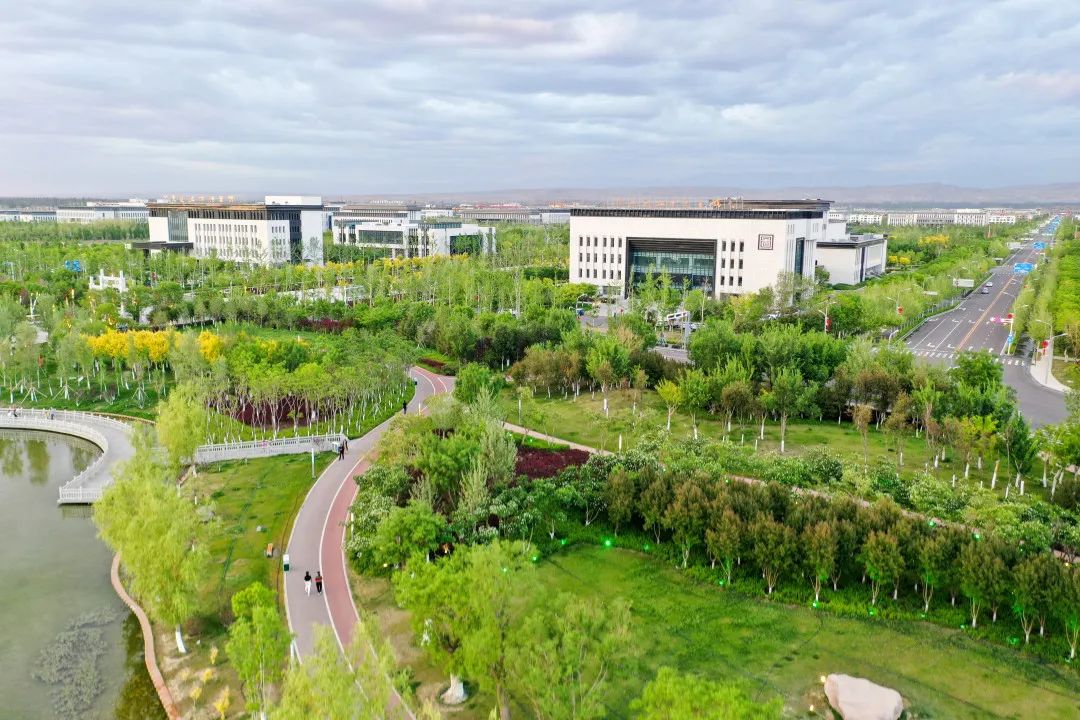 1692585398825702.jpg 1.jpg