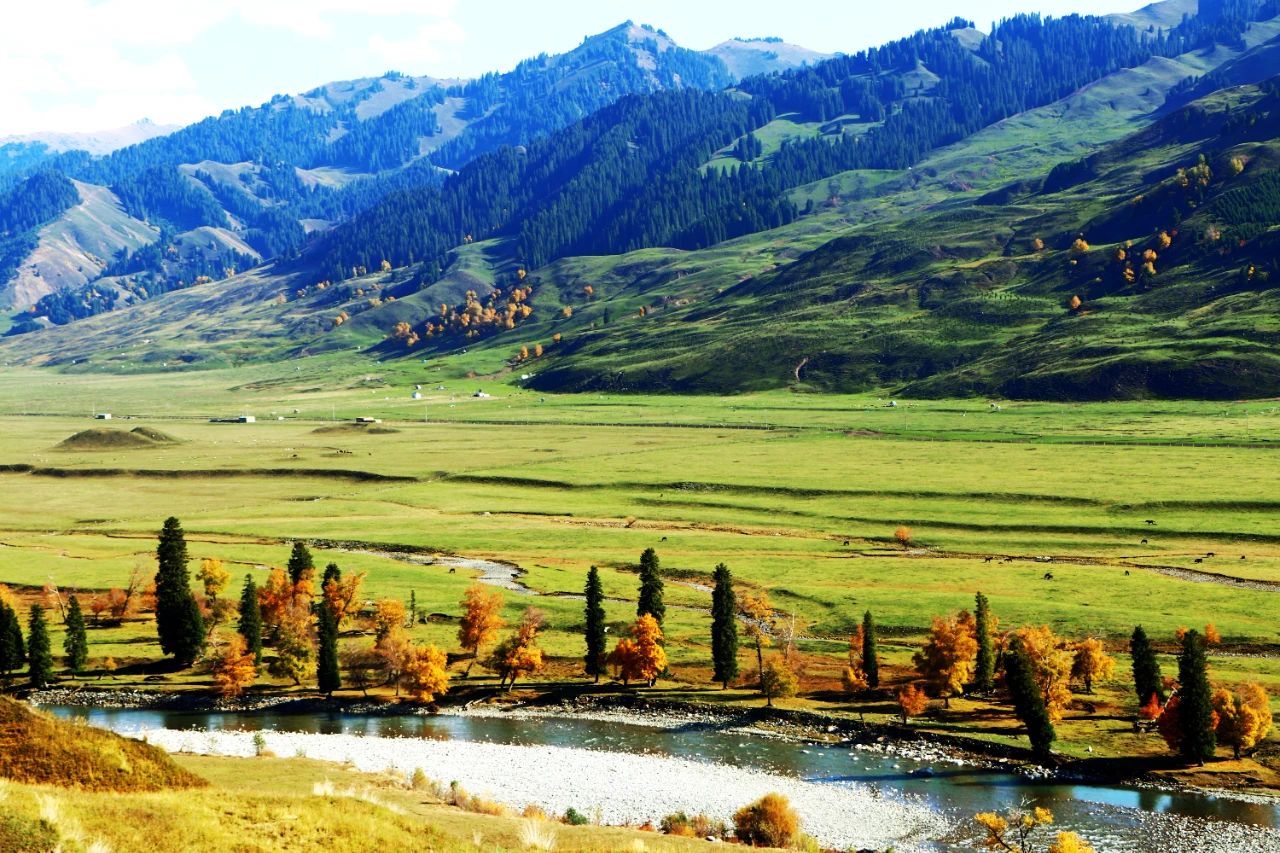 1697250494837062.jpg 02.jpg