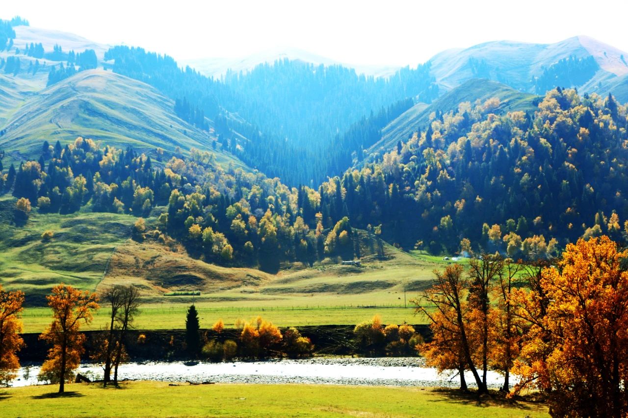 1697250564773040.jpg 05.jpg