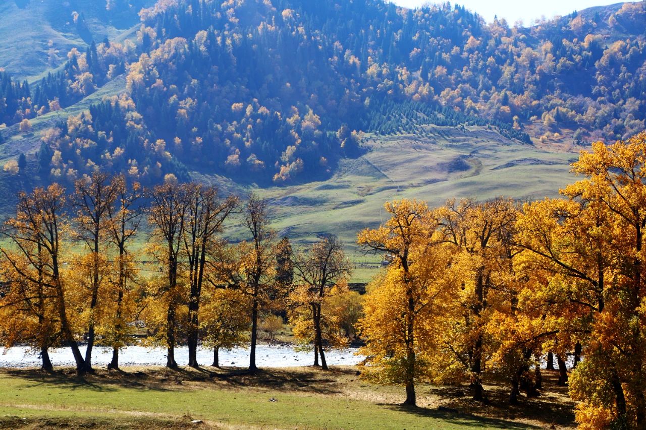 1697250699908222.jpg 11.jpg