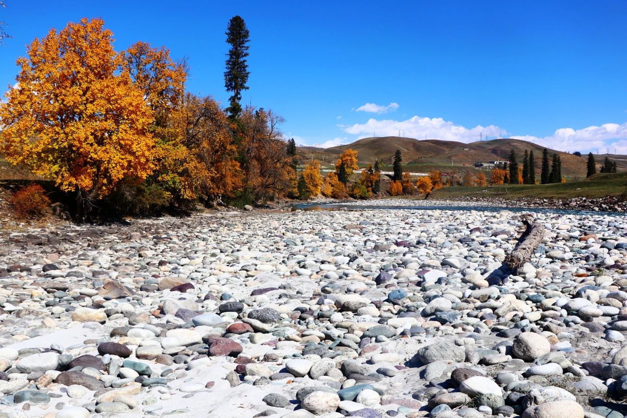 1697250736203548.jpg 14.jpg