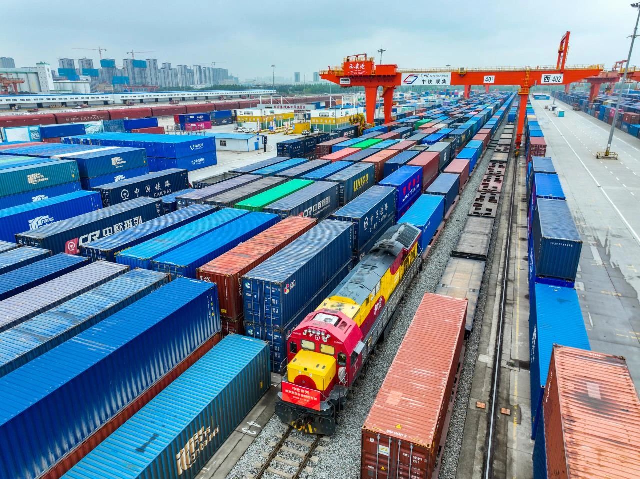 1698030263419786.jpg 2.jpg