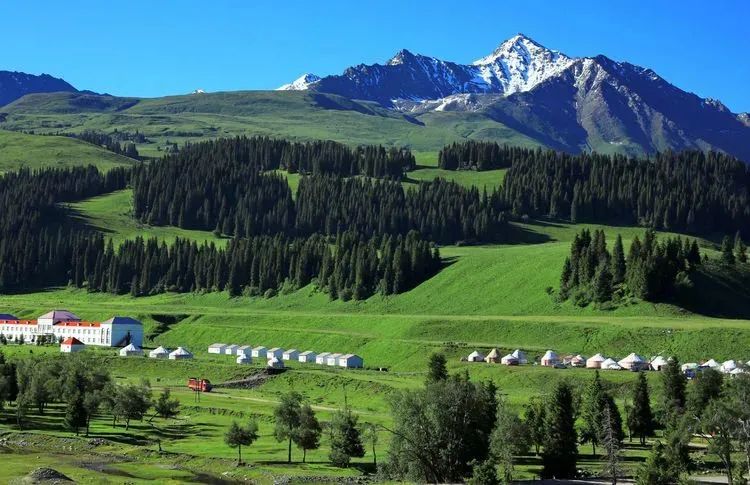 1716964373381901.jpg 04.jpg