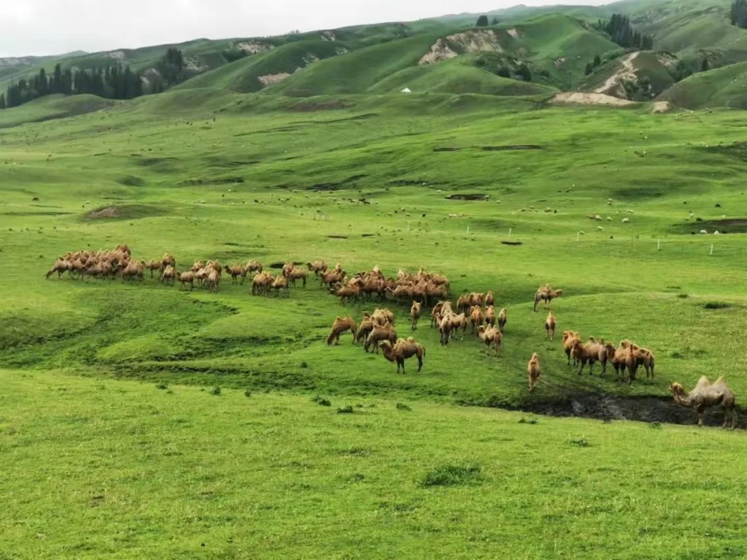 1716964388131361.jpg 05.jpg