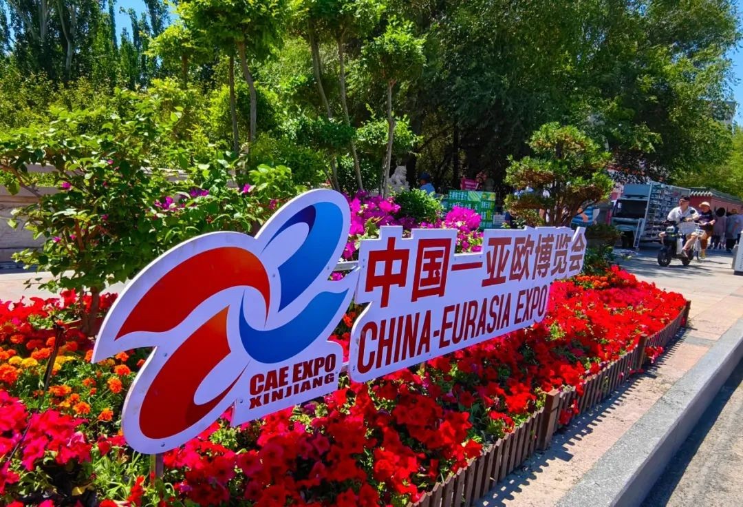 1719891023949487.jpg 03.jpg