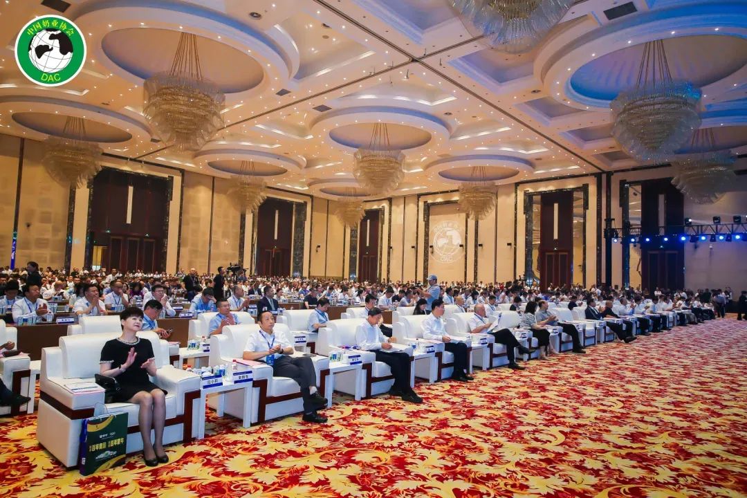 1720173651904581.jpg 02.jpg