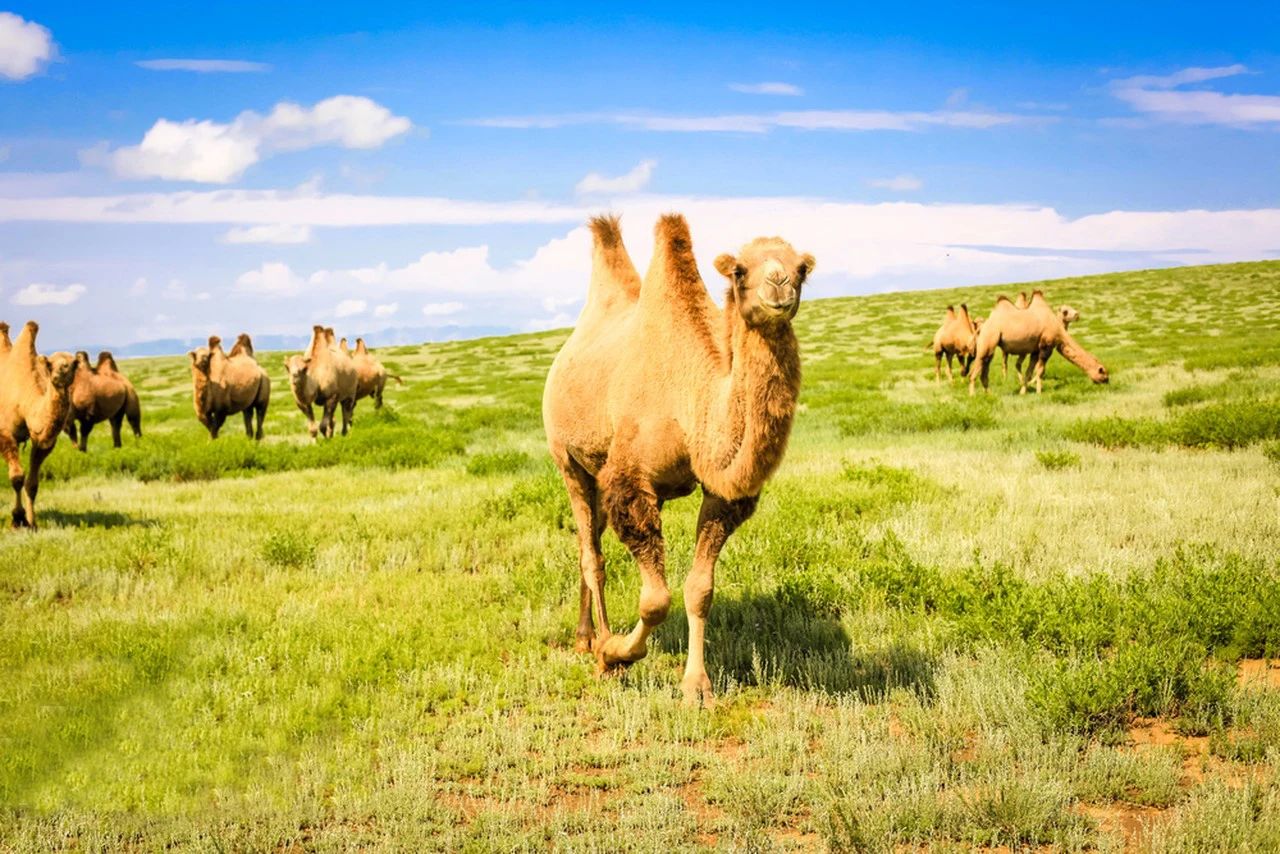 1730168982718774.jpg 5.jpg