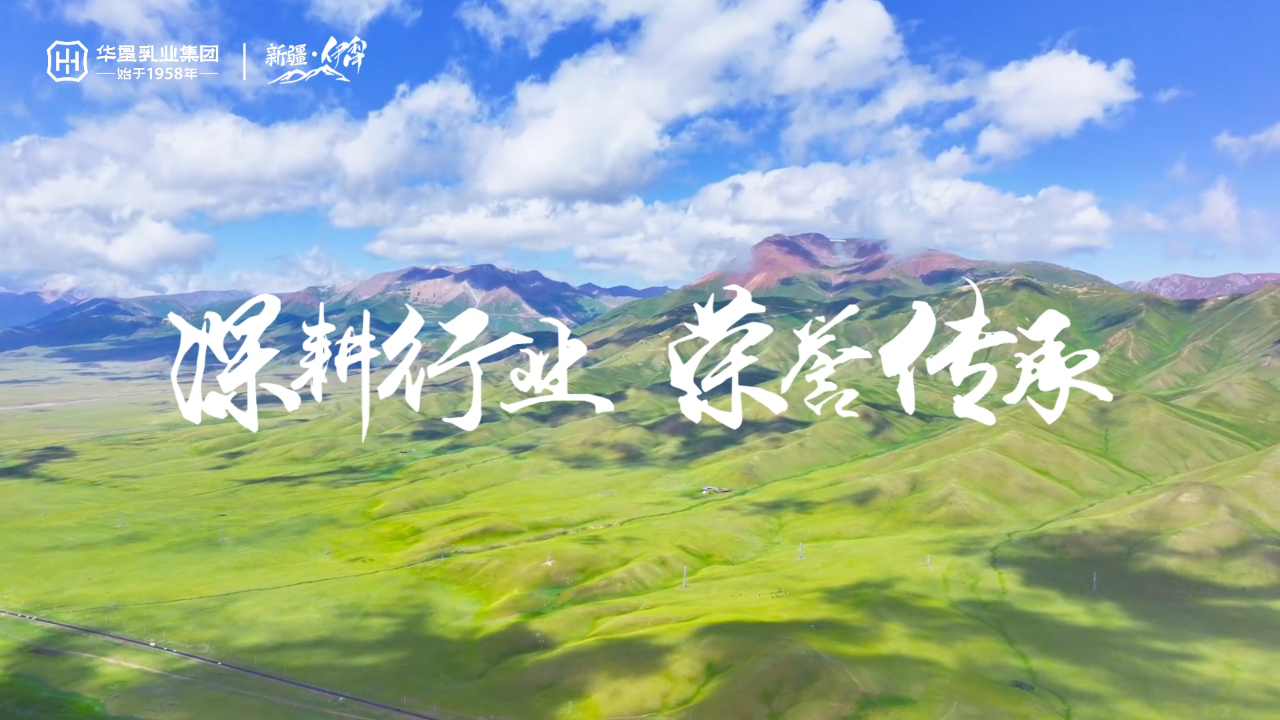 1731635213309994.png 02.png