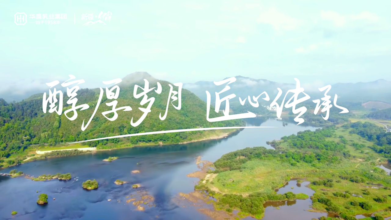 1731635294822567.png 05.png