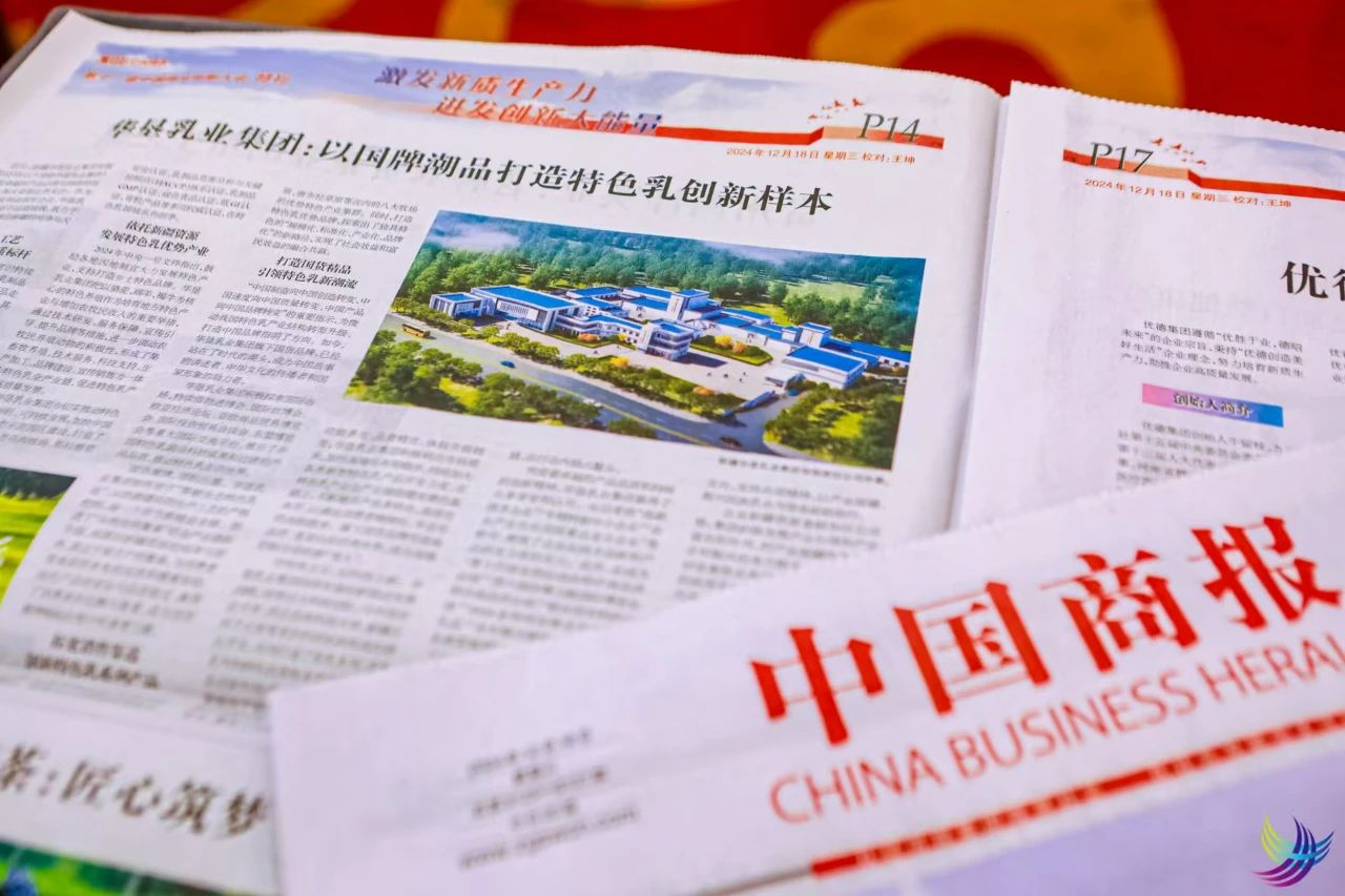 1735542865324628.jpg 03.jpg