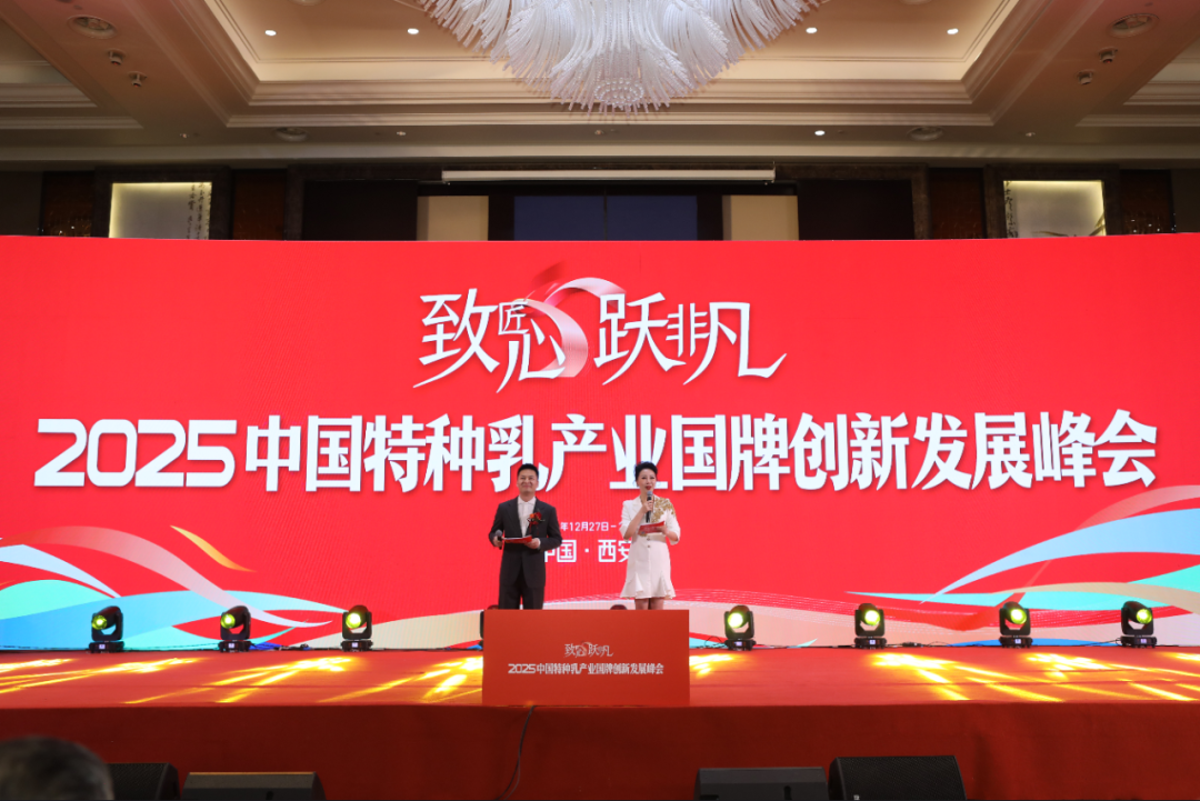 1735783926221643.png 02.png