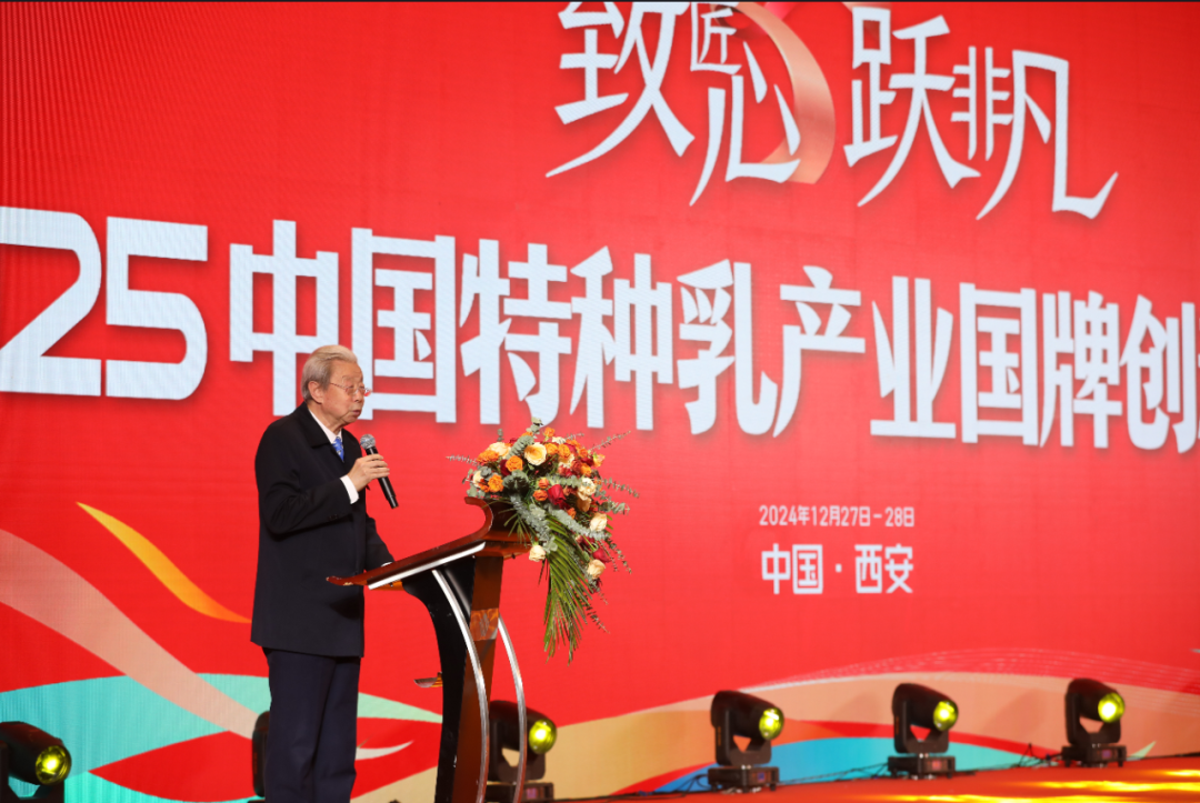 1735783984227149.png 05.png