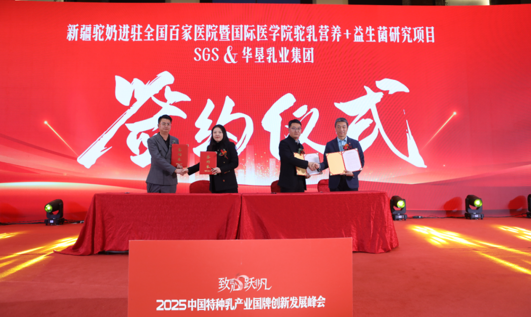 1735784100313035.png 09.png