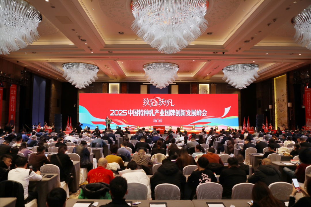 1735784216833713.png 12.png