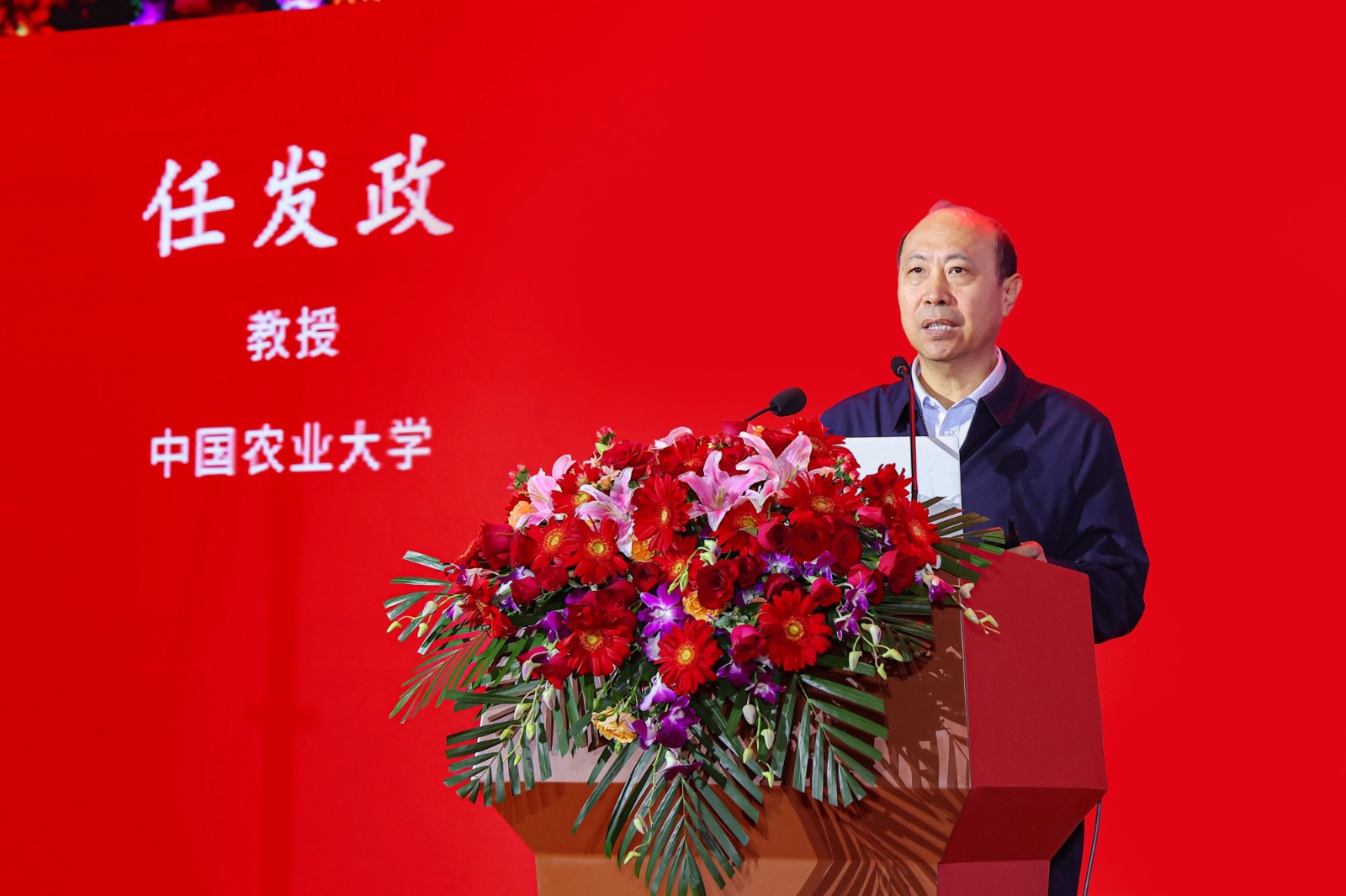 1748572424286816.jpg 06.jpg