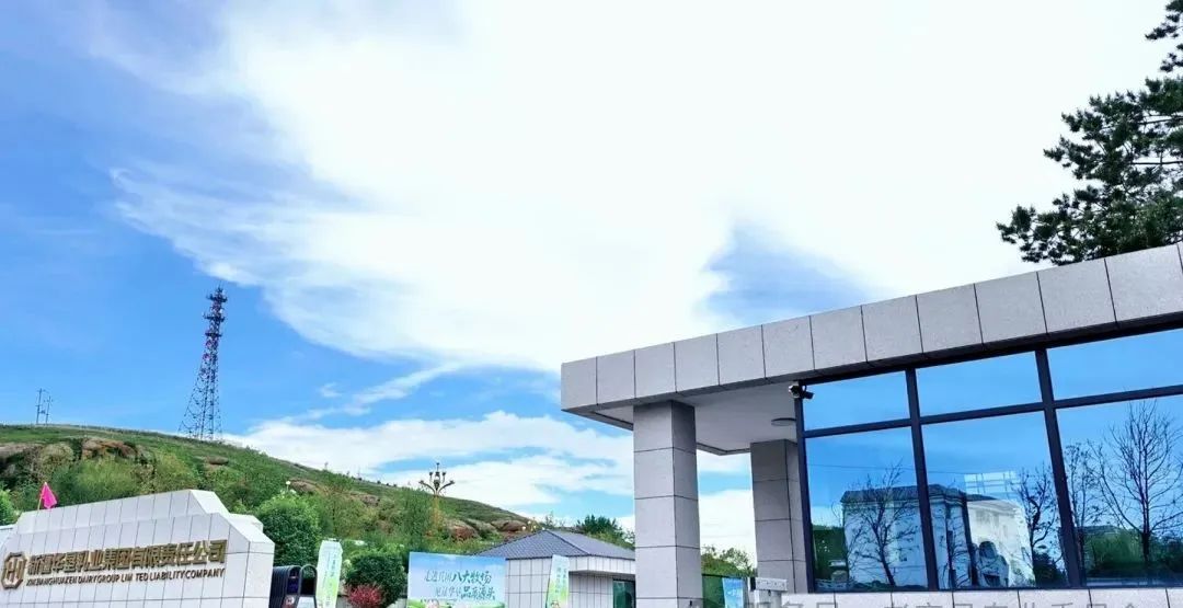 1752630081705879.jpg 02.jpg