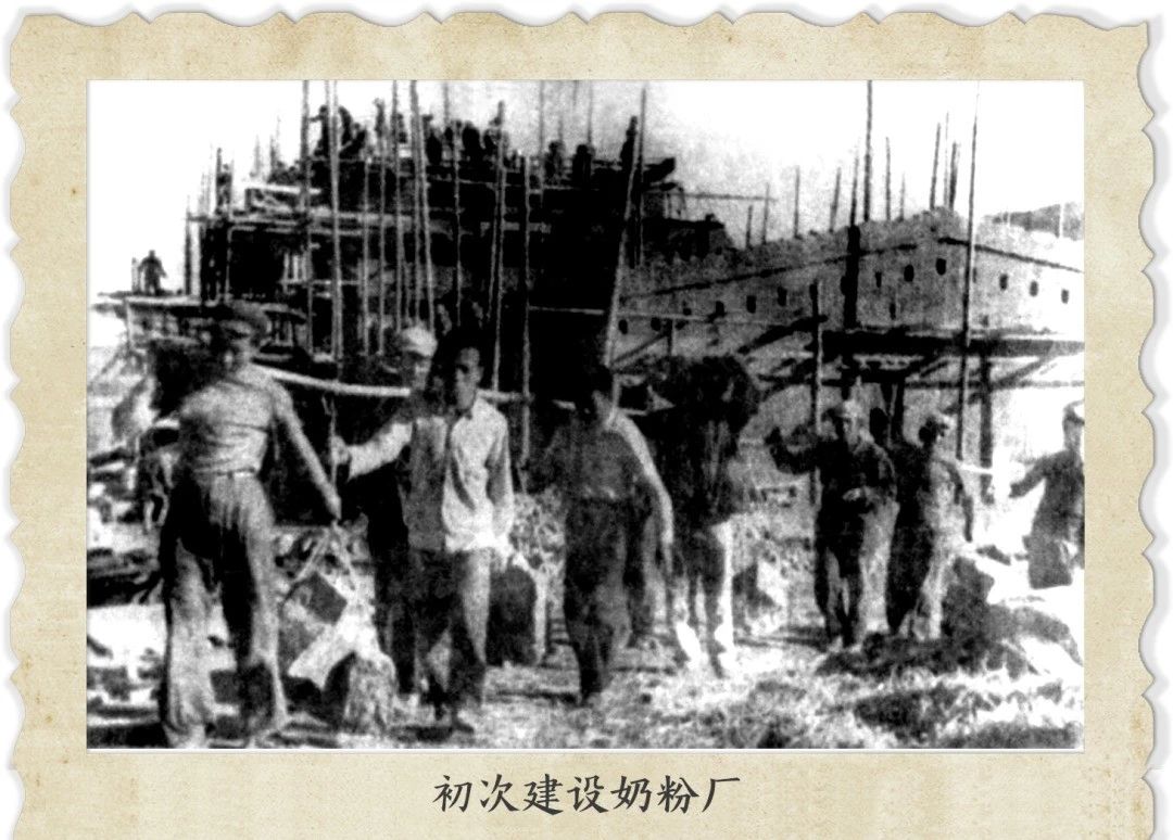 1752630169168994.jpg 03.jpg