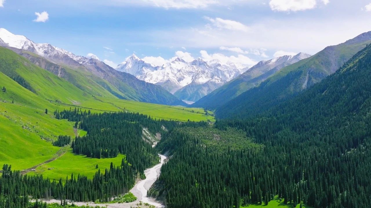 1752630429364890.jpg 07.jpg