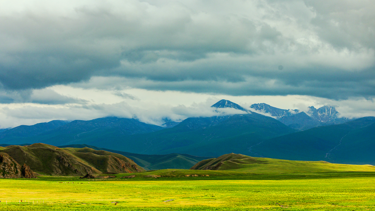 1755570067761671.png 02(1).png