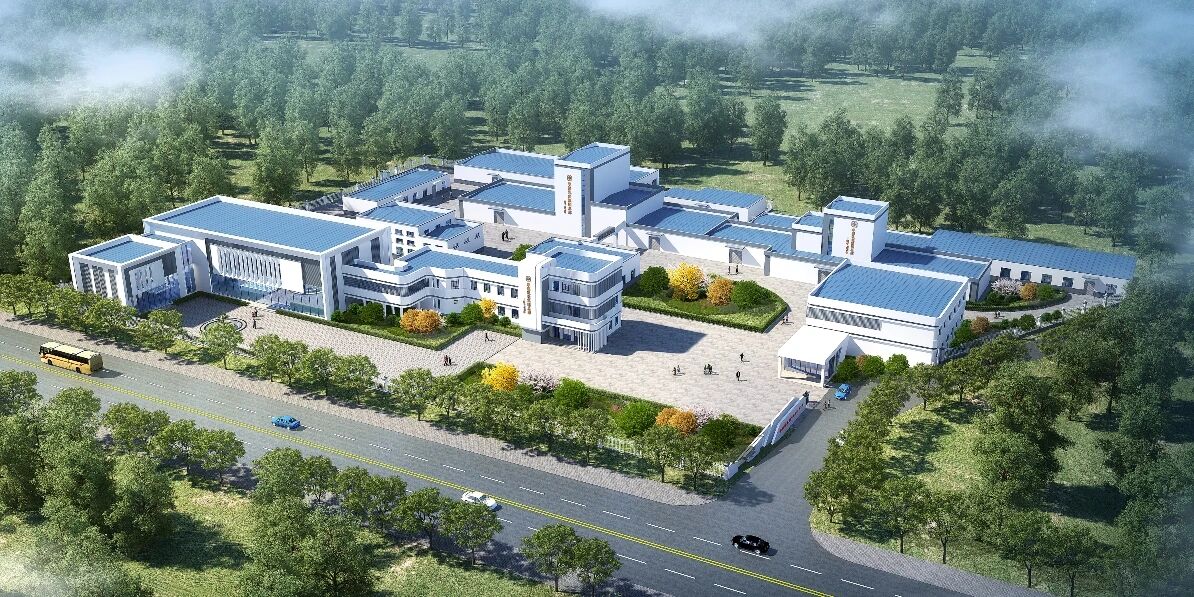 1763089835360074.jpg 03.jpg